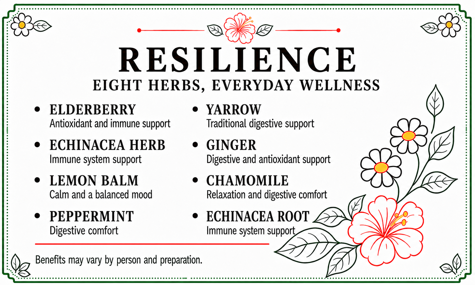 An informational graphic titled 'RESILIENCE' with the subtitle 'EIGHT HERBS, EVERYDAY WELLNESS.' It lists eight herbs and their benefits in a bulleted layout: elderberry, echinacea herb, lemon balm, peppermint, yarrow, ginger, chamomile, and echinacea root.